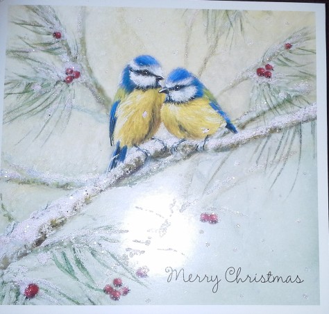 Bluetit Christmas card