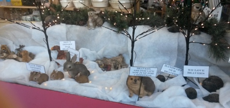 Local shop displays support for the Devon beavers